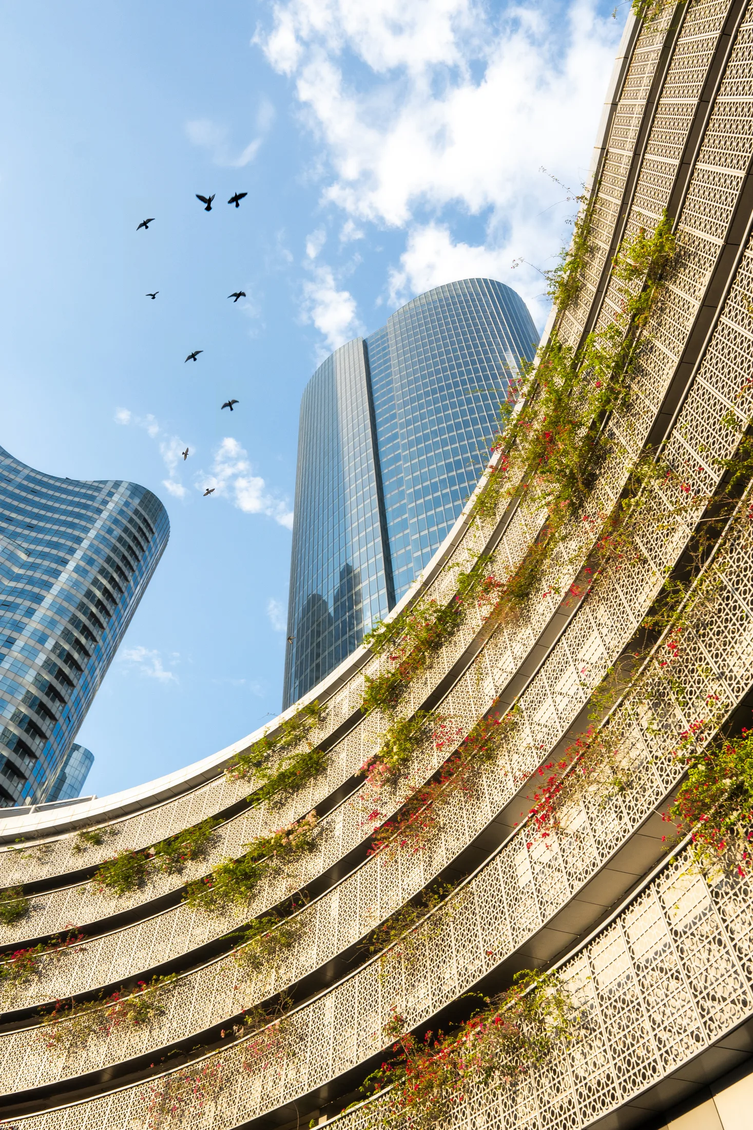 Curved planted balconies on an Abu Dhabi tower with birds overhead, photographed for Q Holding